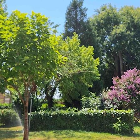 Chateau D'Issandou Golfech Bagian luar foto