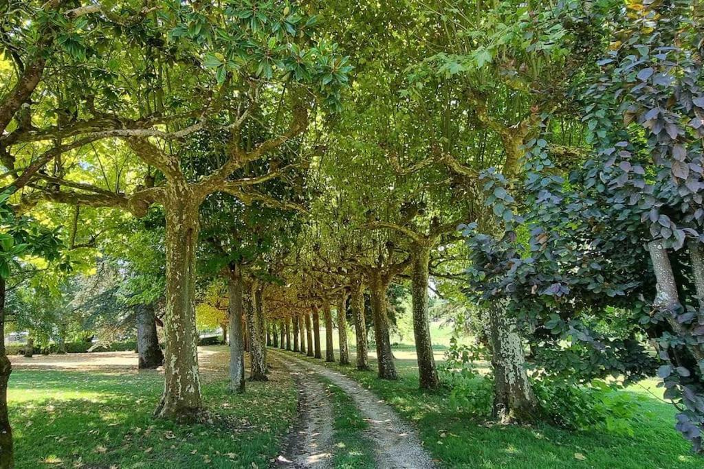 Chateau D'Issandou Golfech Bagian luar foto