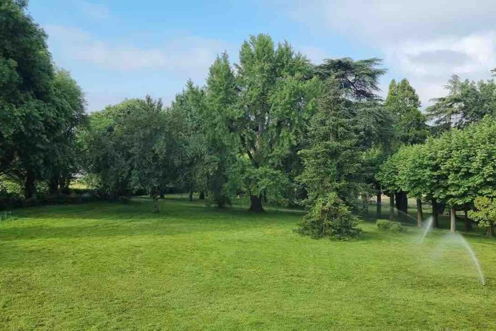 Chateau D'Issandou Golfech Bagian luar foto