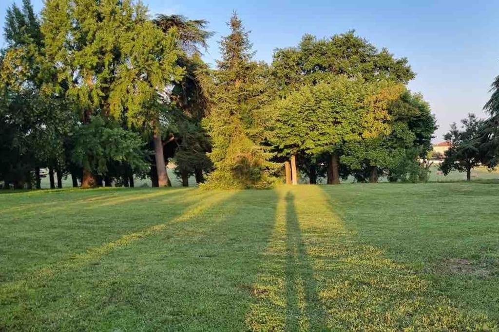 Chateau D'Issandou Golfech Bagian luar foto